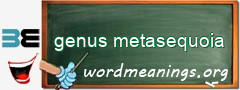 WordMeaning blackboard for genus metasequoia